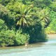 32- Une pirogue s'avance dans le chenal 